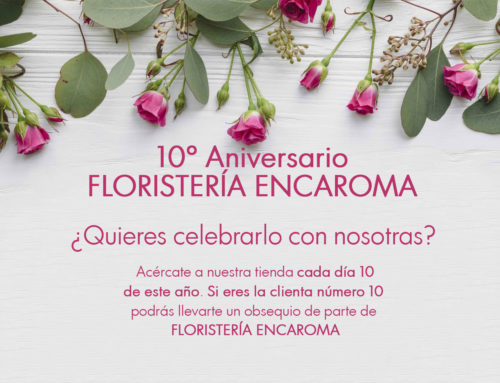 El 2019 es un año especial: Floristería Encaroma celebra su 10º aniversario